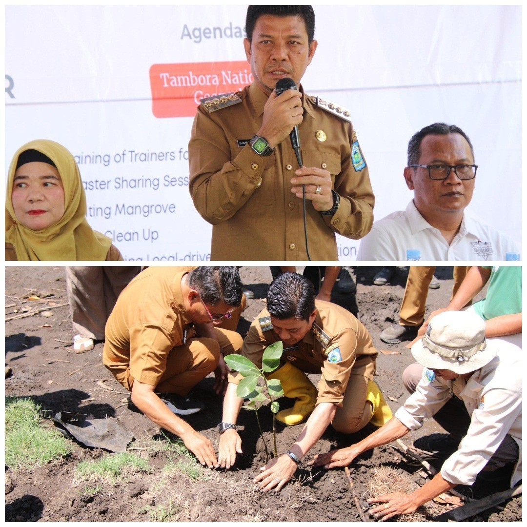 Hari Pengurangan Resiko Bencana, Bupati Dompu dan Pengelola Geopark Tambora Tanam Mangrove